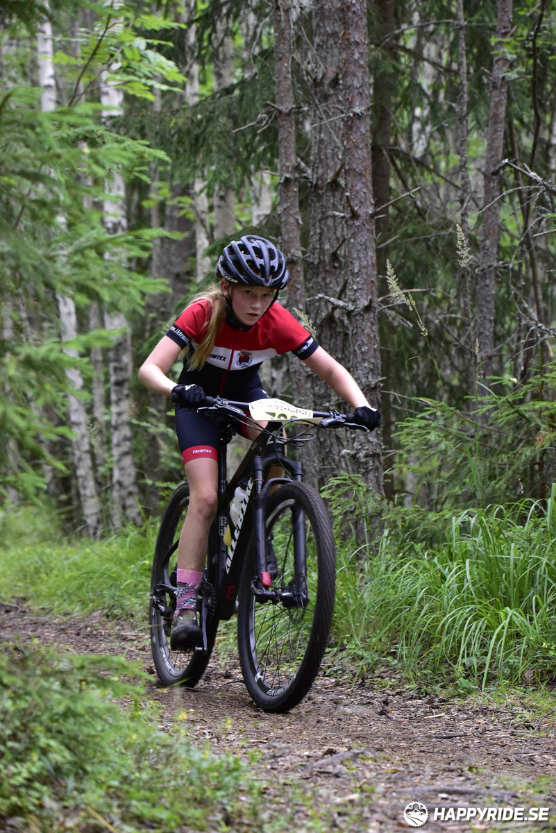 Bild från Engelbrektsturen 2019